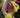Disco x Lux: Sunset Serpent - S